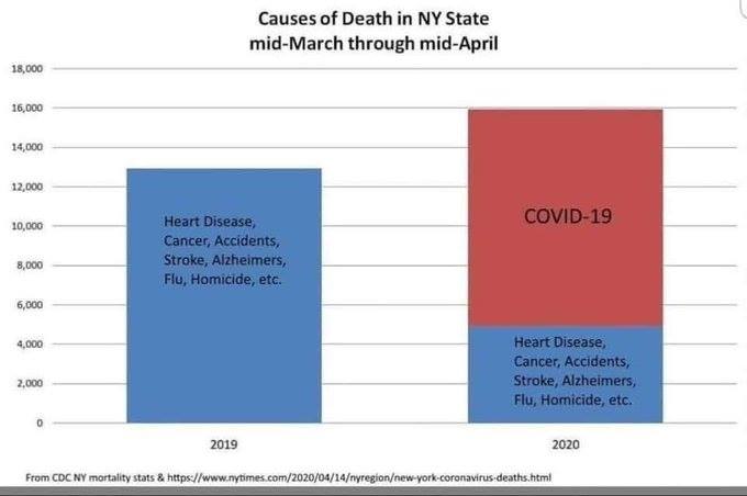 Causes of Death in NY State mid-March through mid-April